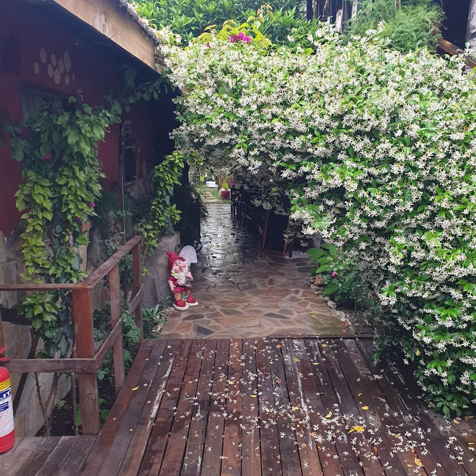 Demeter Rose Stonehouse Pansion Apartment Antalya Exterior photo